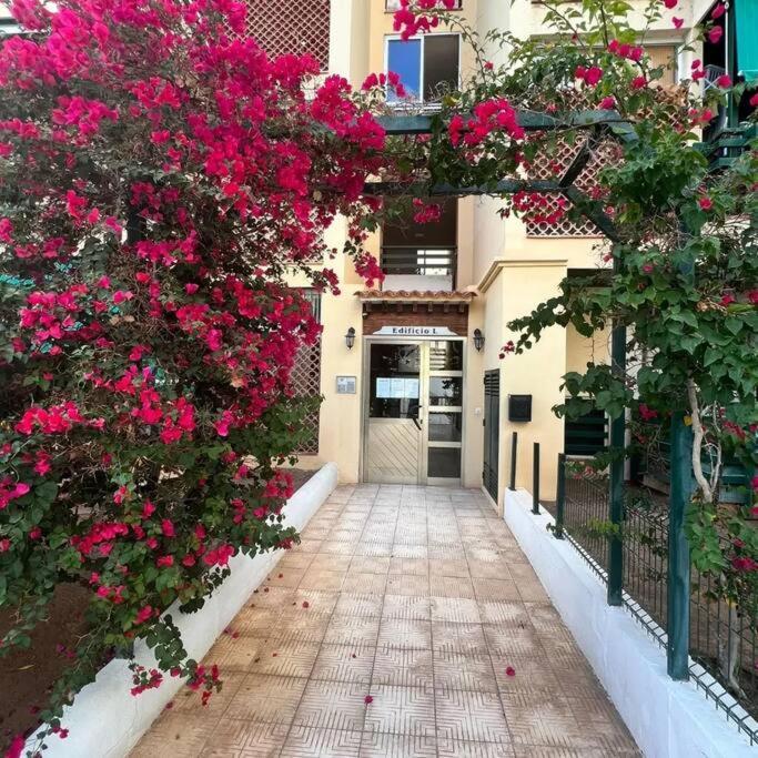 Apartman Los Cristianos-Cristimar Los Cristianos (Tenerife) Exterior foto